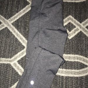 Speed Up Crop *21”